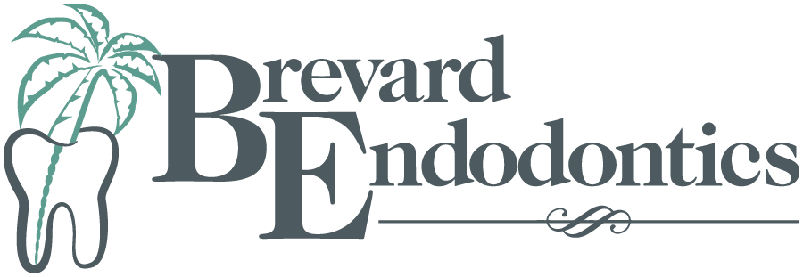 Brevard Endodontics